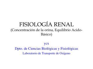 FISIOLOGÍA RENAL (Concentración de la orina, Equilibrio Acido-Básico)