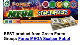 Forex Mega Scalper