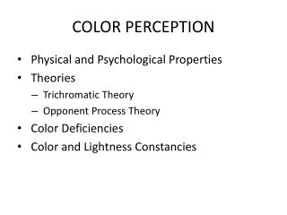 COLOR PERCEPTION