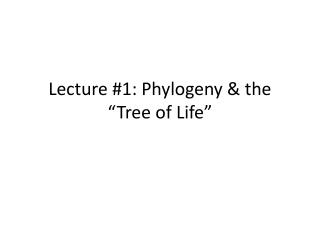 Lecture #1: Phylogeny &amp; the “ Tree of Life ”