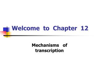 Welcome to Chapter 12