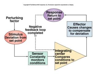 Osmoregulation