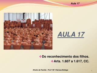 AULA 17