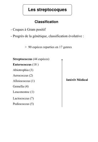 Angine a streptocoques