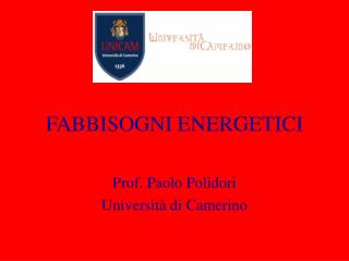 FABBISOGNI ENERGETICI