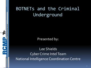 BOTNETs and the Criminal Underground