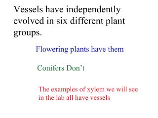 Vessels have independently evolved in six different plant groups.