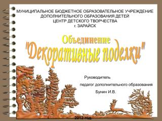 МУНИЦИПАЛЬНОЕ БЮДЖЕТНОЕ ОБРАЗОВАТЕЛЬНОЕ УЧРЕЖДЕНИЕ ДОПОЛНИТЕЛЬНОГО ОБРАЗОВАНИЯ ДЕТЕЙ