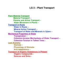 LG 3 – Plant Transport