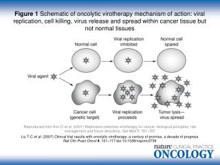 ncponc0736-pf1