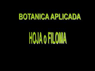 BOTANICA APLICADA