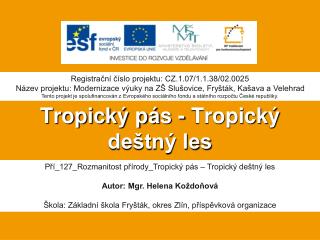 Tropický pás - Tropický deštný les