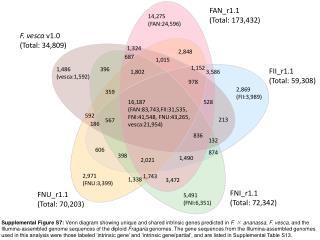 FII_r1.1 (Total: 59,308)