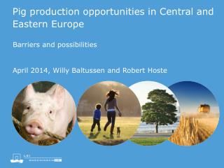Pig production opportunities in Central and Eastern Europe