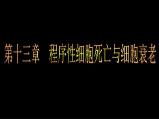 第十三章 程序性细胞死亡与细胞衰老