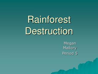 Rainforest Destruction