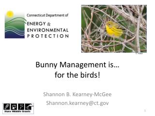 Bunny Management is… for the birds!