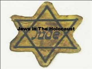 Jews in The Holocaust