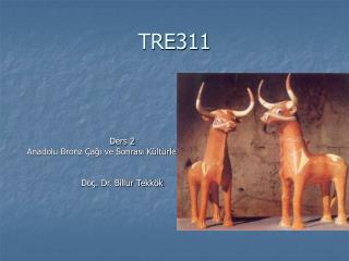 TRE311