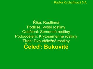 Radka Kuchaříková 5.A