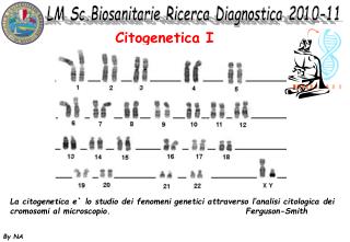 Citogenetica I