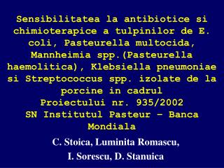 C. Stoica, Luminita Romascu, I. Sorescu, D. Stanuica