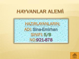 Hazırlayanların; Adı: Sina- Emirhan Sınıfı: 5/B No: 921-878