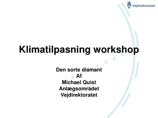 Klimatilpasning workshop