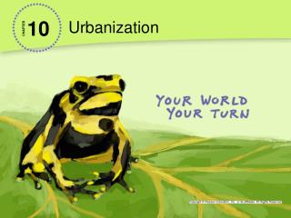 Urbanization