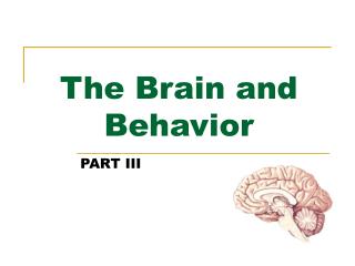 The Brain and Behavior