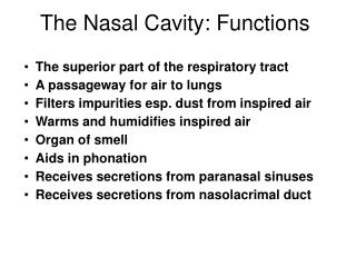 The Nasal Cavity: Functions