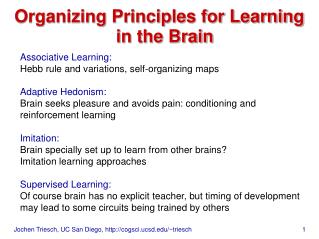 Organizing Principles for Learning in the Brain