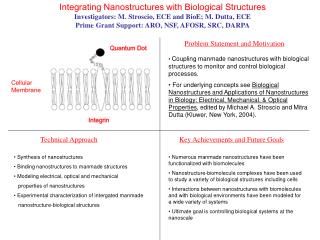 Integrating Nanostructures with Biological Structures