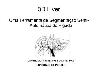 3D Liver