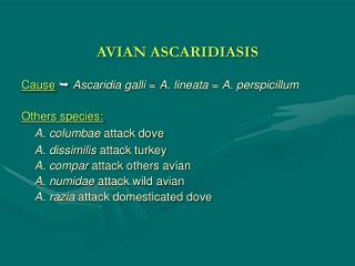 AVIAN ASCARIDIASIS