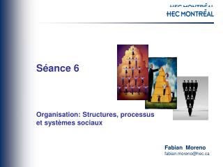 Séance 6 Organisation: Structures, processus et systèmes sociaux
