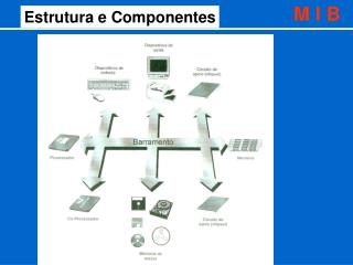 Estrutura e Componentes