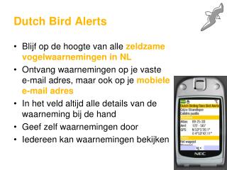 Dutch Bird Alerts