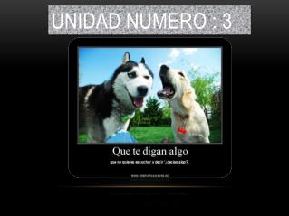 UNIDAD NUMERO : 3