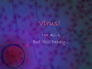 Virus!