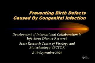 Preventing Birth Defects Caused By Congenital Infection