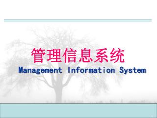 管理信息系统 Management Information System