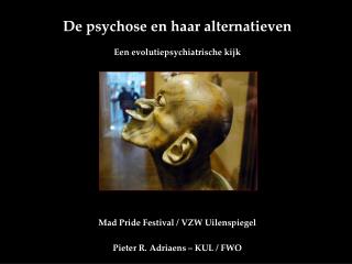 De psychose en haar alternatieven Een evolutiepsychiatrische kijk