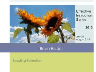 Brain Basics