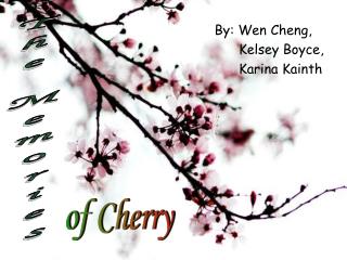 By: Wen Cheng, Kelsey Boyce, Karina Kainth