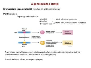 egy vagy néhány bázis: 				- cseréje 				- kiesése 				- beékelődése