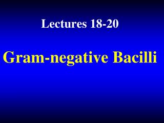 Gram-negative Bacilli