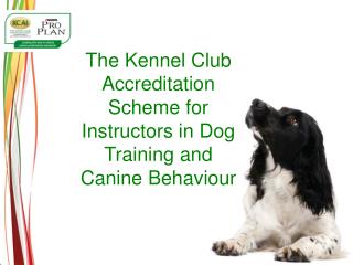The Kennel Club Accreditation Scheme for Instructors in Dog Training and Canine Behaviour