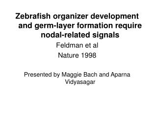 Zebrafish organizer development and germ-layer formation require nodal-related signals