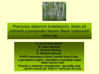 Pravomoc obecních (městských) úřadů při ochraně a povolování kácení dřevin rostoucích mimo les